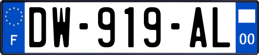 DW-919-AL