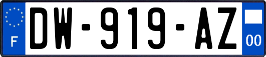 DW-919-AZ