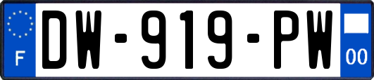 DW-919-PW