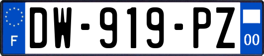 DW-919-PZ