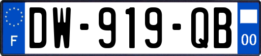 DW-919-QB