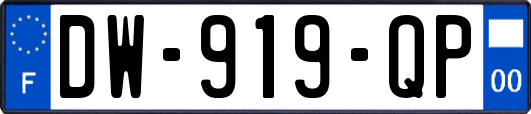 DW-919-QP