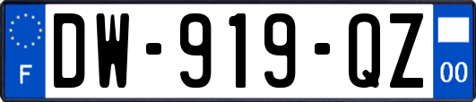 DW-919-QZ