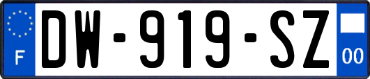 DW-919-SZ