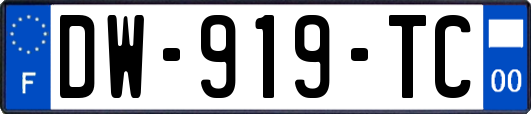 DW-919-TC