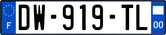 DW-919-TL