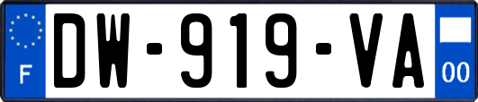 DW-919-VA