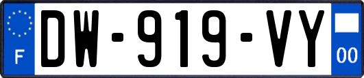 DW-919-VY