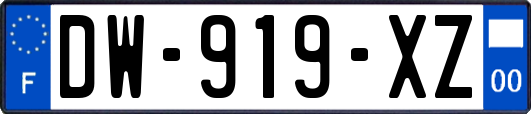 DW-919-XZ