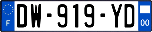 DW-919-YD
