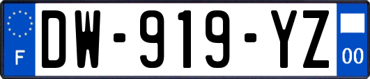 DW-919-YZ