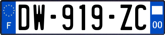 DW-919-ZC