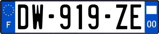 DW-919-ZE