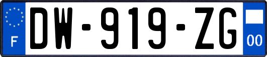 DW-919-ZG