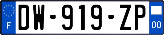 DW-919-ZP