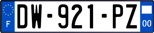 DW-921-PZ