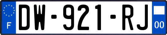 DW-921-RJ