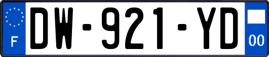 DW-921-YD