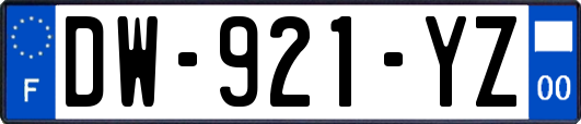 DW-921-YZ