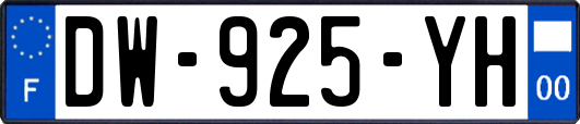 DW-925-YH