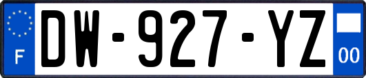 DW-927-YZ