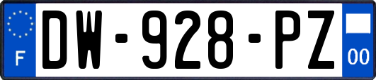 DW-928-PZ