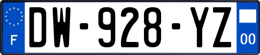 DW-928-YZ