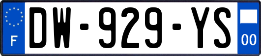 DW-929-YS