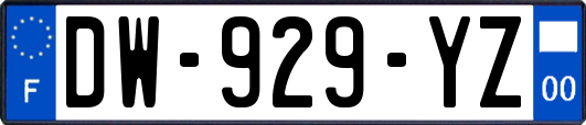 DW-929-YZ