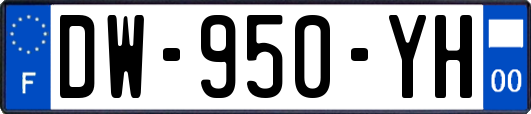 DW-950-YH