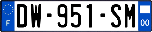 DW-951-SM