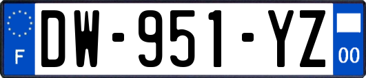 DW-951-YZ