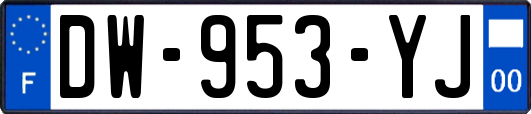 DW-953-YJ