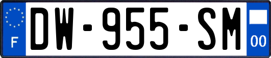 DW-955-SM