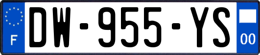 DW-955-YS