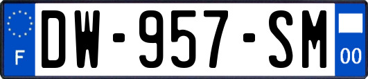 DW-957-SM