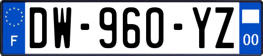 DW-960-YZ