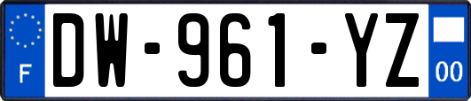 DW-961-YZ