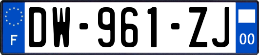 DW-961-ZJ