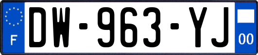 DW-963-YJ