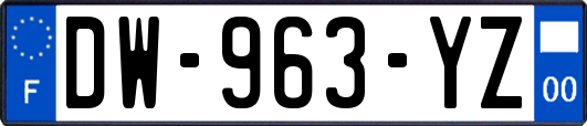 DW-963-YZ