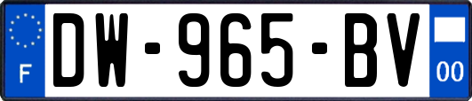 DW-965-BV