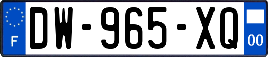 DW-965-XQ