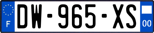 DW-965-XS