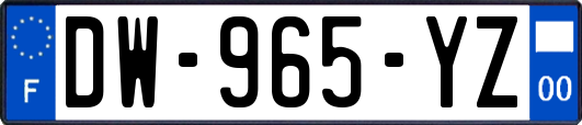 DW-965-YZ