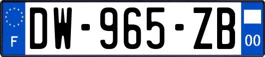 DW-965-ZB