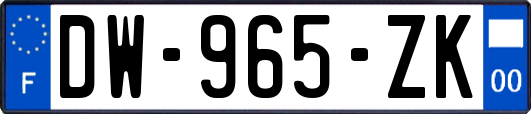 DW-965-ZK