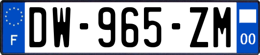 DW-965-ZM