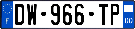 DW-966-TP