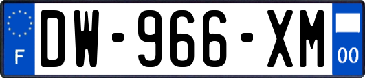 DW-966-XM